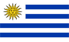 乌拉圭国别域名.uy
