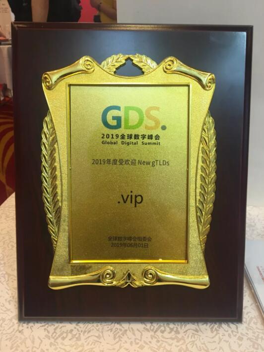 .vip域名获GDS.2019最受欢迎新顶级域名奖
