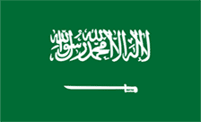 沙特阿拉伯国别域名.sa
