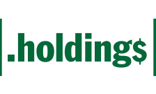 holdings域名